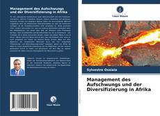 Management des Aufschwungs und der Diversifizierung in Afrika kitap kapağı