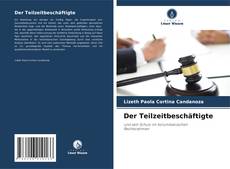 Der Teilzeitbeschäftigte的封面