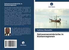 Salzwassereinbrüche in Küstenregionen kitap kapağı