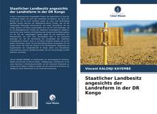 Staatlicher Landbesitz angesichts der Landreform in der DR Kongo的封面