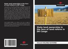 Bookcover of State land ownership in the face of land reform in DR Congo
