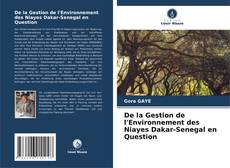 De la Gestion de l'Environnement des Niayes Dakar-Senegal en Question kitap kapağı