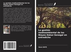 Borítókép a  La gestión medioambiental de los Niayes Dakar-Senegal en entredicho - hoz