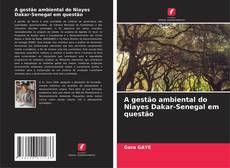 Buchcover von A gestão ambiental do Niayes Dakar-Senegal em questão