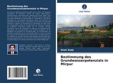 Bestimmung des Grundwasserpotenzials in Mirpur kitap kapağı