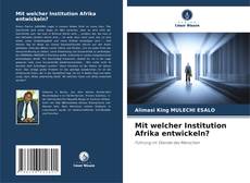 Mit welcher Institution Afrika entwickeln? kitap kapağı