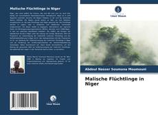 Copertina di Malische Flüchtlinge in Niger