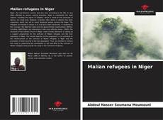 Malian refugees in Niger kitap kapağı
