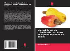 Manual de venda colectiva de castanhas de caju da FENAPAB no Benim的封面