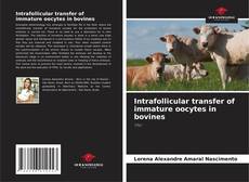 Capa do livro de Intrafollicular transfer of immature oocytes in bovines 