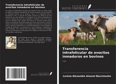 Copertina di Transferencia intrafolicular de ovocitos inmaduros en bovinos