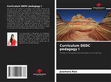 Bookcover of Curriculum DEDC pedagogy I