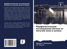 Bookcover of Морфологическое исследование бетона из летучей золы и шлака