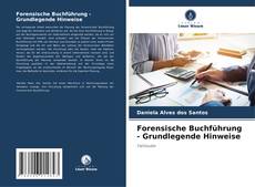 Forensische Buchführung - Grundlegende Hinweise kitap kapağı