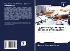 Обложка Судебная бухгалтерия - основное руководство