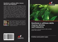 Bookcover of Gestione e utilizzo delle risorse idriche nell'industria