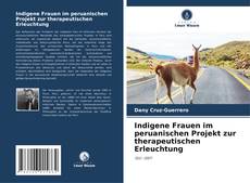 Indigene Frauen im peruanischen Projekt zur therapeutischen Erleuchtung的封面