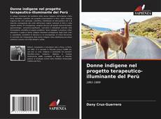 Bookcover of Donne indigene nel progetto terapeutico-illuminante del Perù