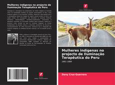 Bookcover of Mulheres indígenas no projecto de Iluminação Terapêutica do Peru