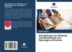 Herstellung von Glukose und Bioethanol aus Spyrogyra africanus kitap kapağı