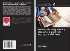 Bookcover of Producción de glucosa y bioetanol a partir de spyrogyra africanus