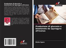 Copertina di Produzione di glucosio e bioetanolo da spyrogyra africanus