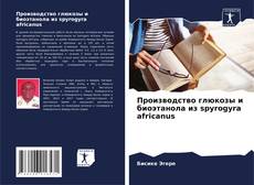 Bookcover of Производство глюкозы и биоэтанола из spyrogyra africanus