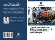 Borítókép a  Drehzahlregelung von SEDC-Motoren durch PI & Fuzzy für industrielle Anwendungen - hoz