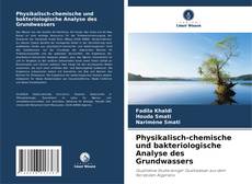 Physikalisch-chemische und bakteriologische Analyse des Grundwassers kitap kapağı