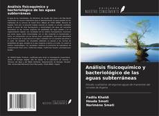Copertina di Análisis fisicoquímico y bacteriológico de las aguas subterráneas