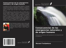 Обложка Consecuencias de las emergencias naturales y de origen humano