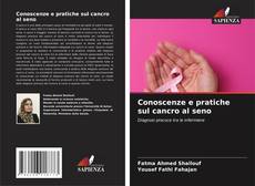 Borítókép a  Conoscenze e pratiche sul cancro al seno - hoz