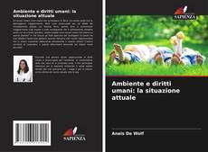 Copertina di Ambiente e diritti umani: la situazione attuale