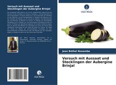 Versuch mit Aussaat und Stecklingen der Aubergine Brinjal kitap kapağı