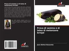 Prova di semina e di talea di melanzana brinjal的封面