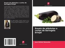 Bookcover of Ensaio de plântulas e cortes de beringela brinjal