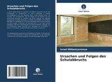 Ursachen und Folgen des Schulabbruchs kitap kapağı