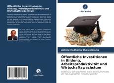 Borítókép a  Öffentliche Investitionen in Bildung, Arbeitsproduktivität und Wirtschaftswachstum - hoz