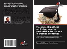 Bookcover of Investimenti pubblici per l'istruzione, la produttività del lavoro e la crescita economica