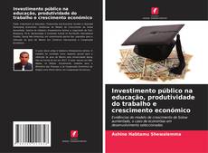 Buchcover von Investimento público na educação, produtividade do trabalho e crescimento económico