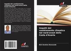 Couverture de Impatti del cambiamento climatico nel nord-ovest della Costa d'Avorio
