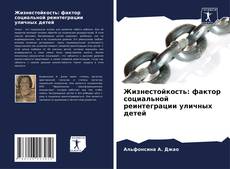 Copertina di Жизнестойкость: фактор социальной реинтеграции уличных детей