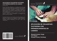 Buchcover von APLICACIÓN DE ZOLAZEPAM-TILETAMINA CON PREMEDICAMENTOS EN CANINOS