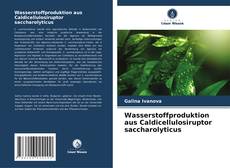 Wasserstoffproduktion aus Caldicellulosiruptor saccharolyticus kitap kapağı