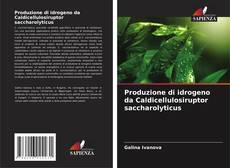 Copertina di Produzione di idrogeno da Caldicellulosiruptor saccharolyticus