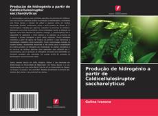 Buchcover von Produção de hidrogénio a partir de Caldicellulosiruptor saccharolyticus