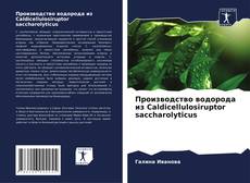 Capa do livro de Производство водорода из Caldicellulosiruptor saccharolyticus 