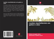 Buchcover von Lesões maxilofaciais em gatos e cães