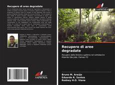 Bookcover of Recupero di aree degradate