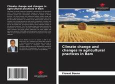 Capa do livro de Climate change and changes in agricultural practices in Bam 